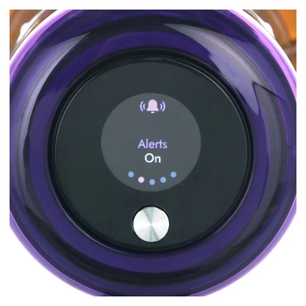 Dyson V15 DETECT, Gold/Gray №5