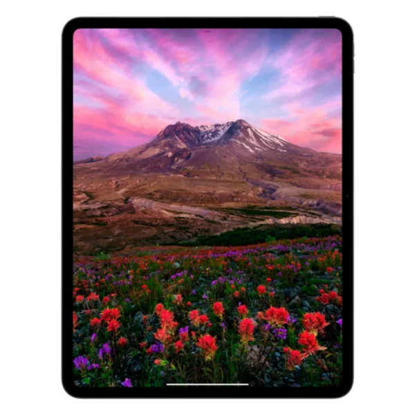Apple iPad Pro M4, 11” дюймов Wi-Fi + Cellular 2 ТБ Чёрный космос, нанотекстурное стекло №15