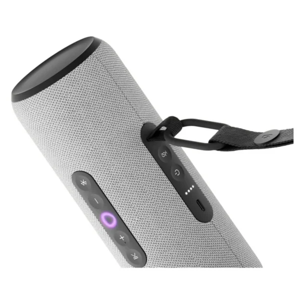 Умная портативная колонка Яндекс Станция Стрит, серый, 30Вт