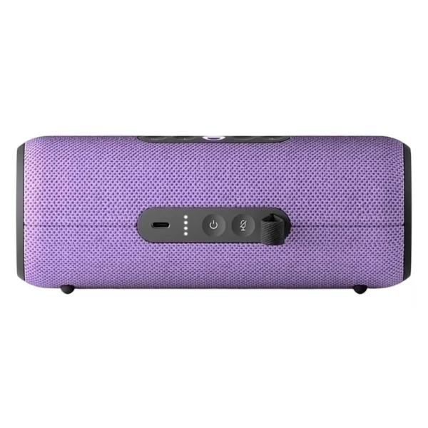 Умная портативная колонка Яндекс Станция Стрит, фиолетовый, 30Вт